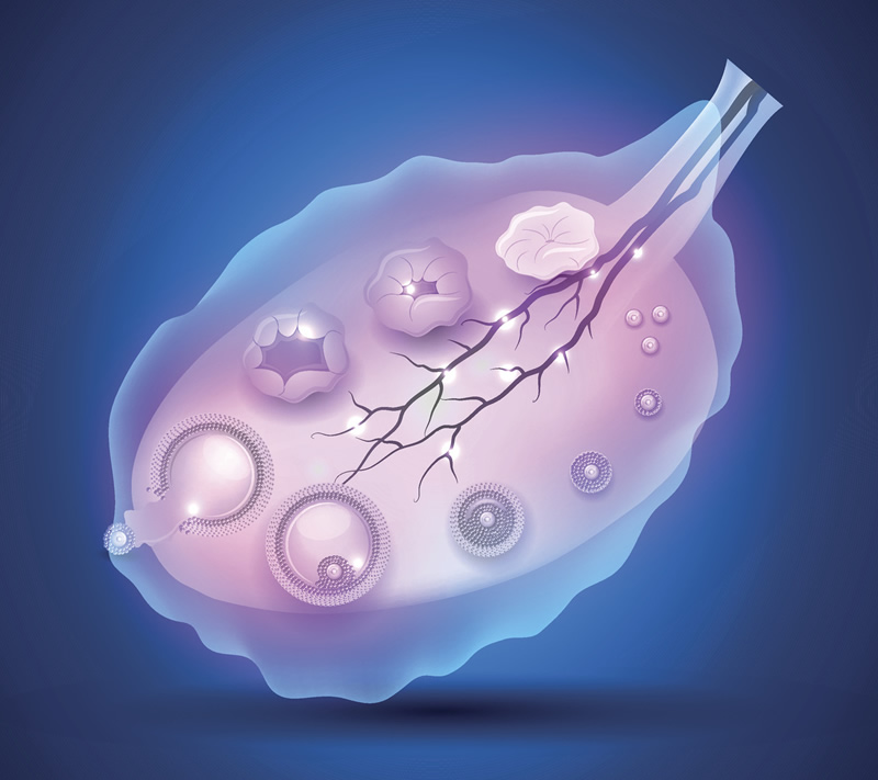 关于长沙试管机构进行三代试管的费用介绍？要不要20万